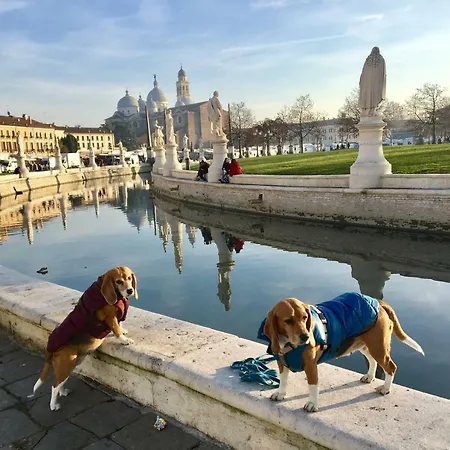 Prato Della Valle Sweet Apartment